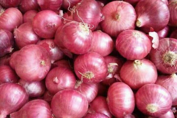 Http krmp.cc onion market 3887